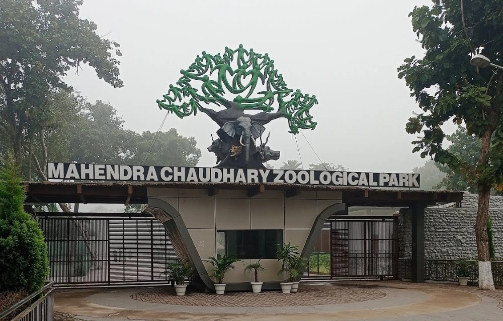 Mahendra Chaudhary Zoological Park